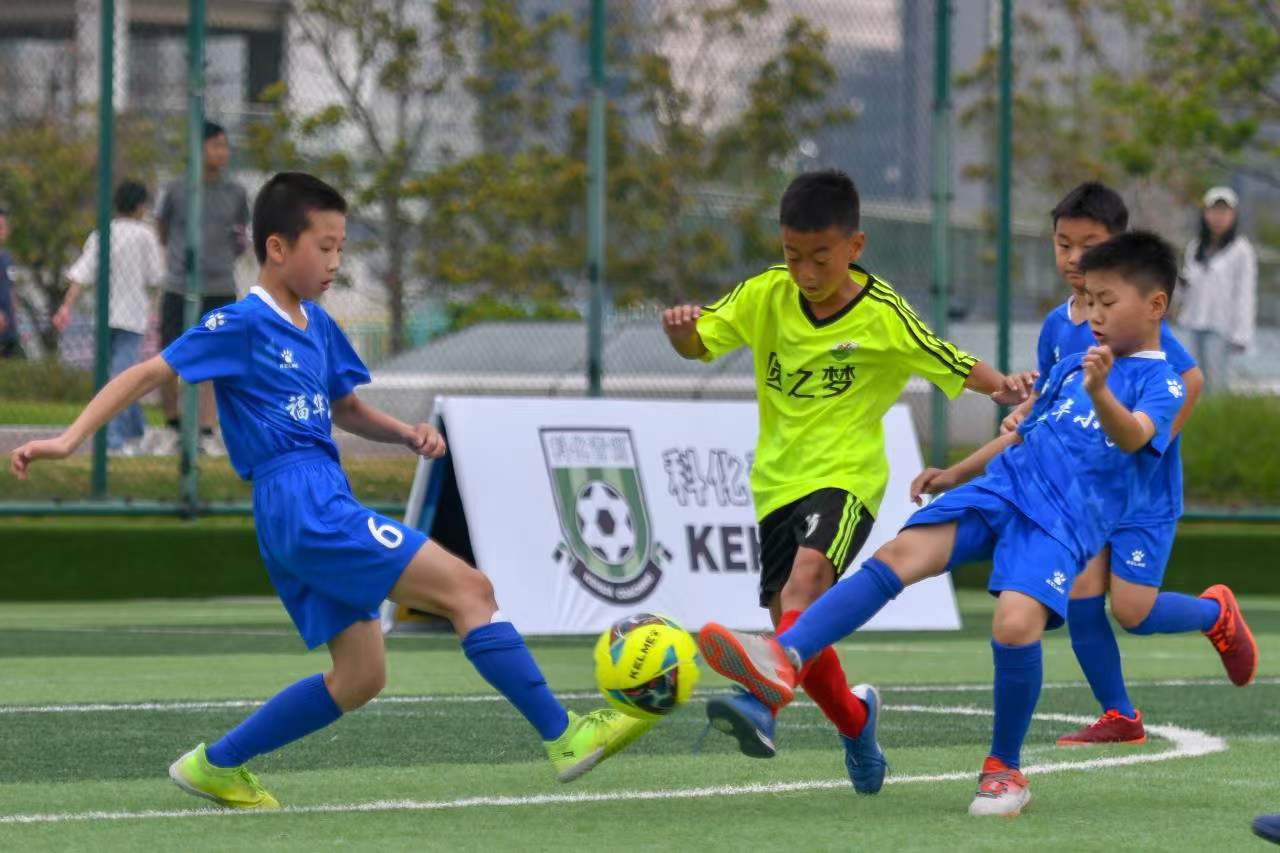 其他主力球 其他主力球