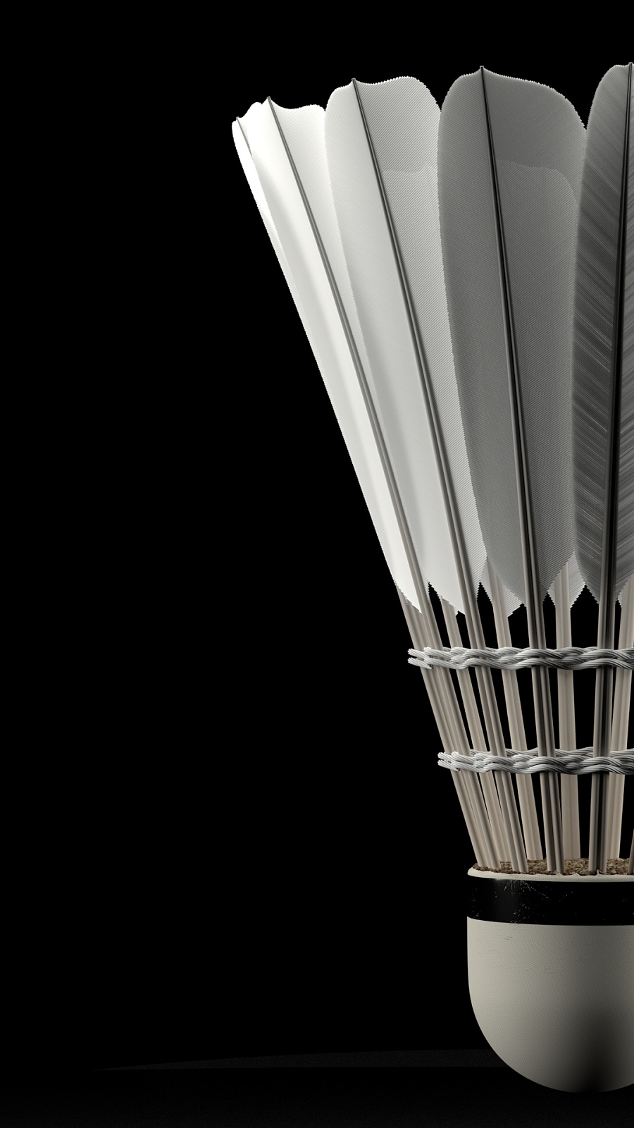 轻球员的影 轻球员的影