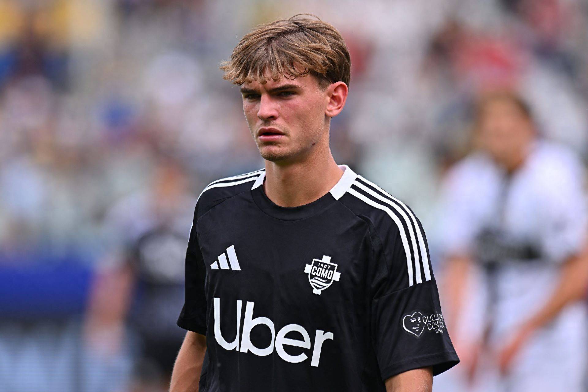 感自然回归 感自然回归