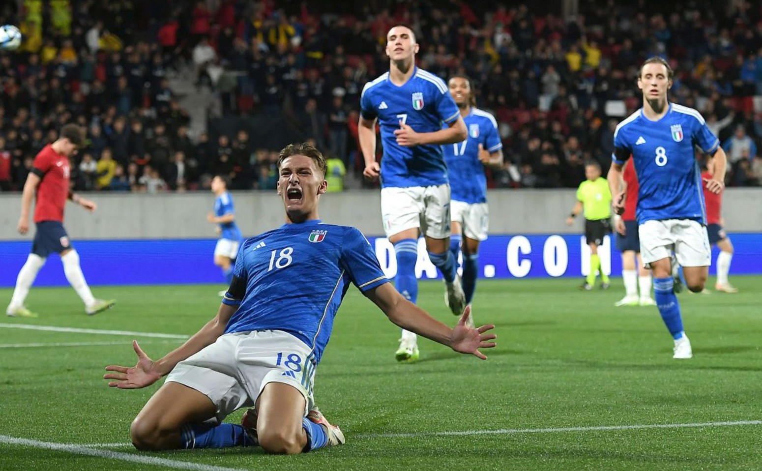 若在春训到 若在春训到